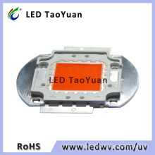 LED Light for Animal Husbandry 30W Full Spectrum 380-840nm